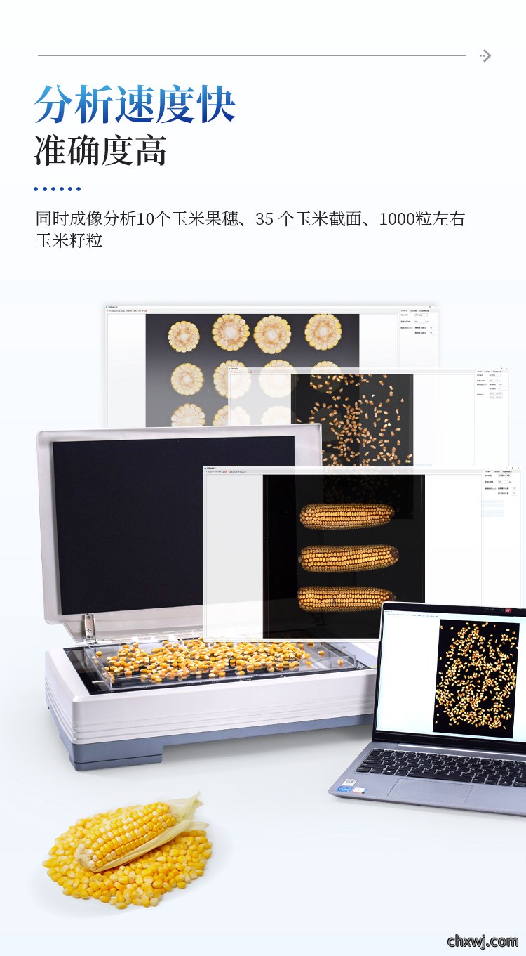 玉米考种分析系统