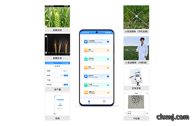 小麦表型测量仪IN-XM05