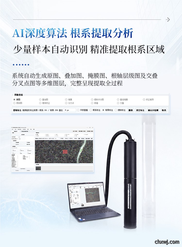 微根管根系监测系统