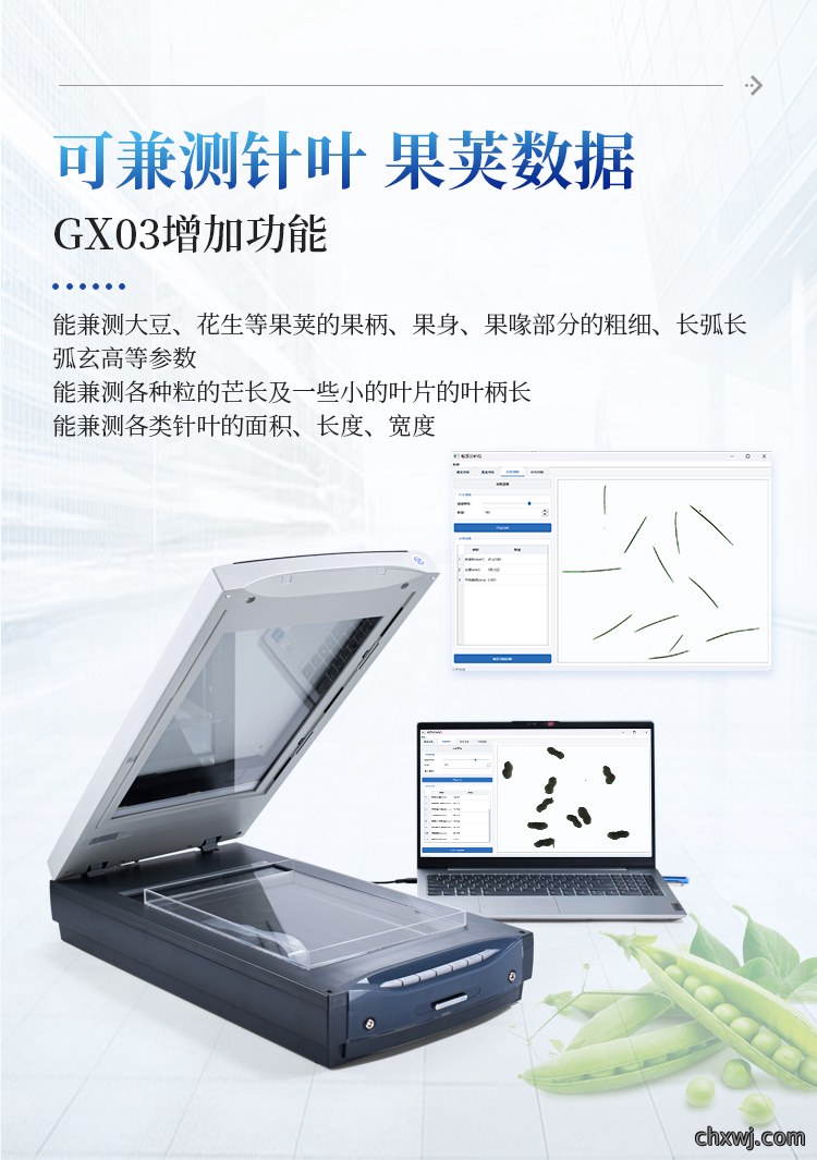 植物根系分析仪