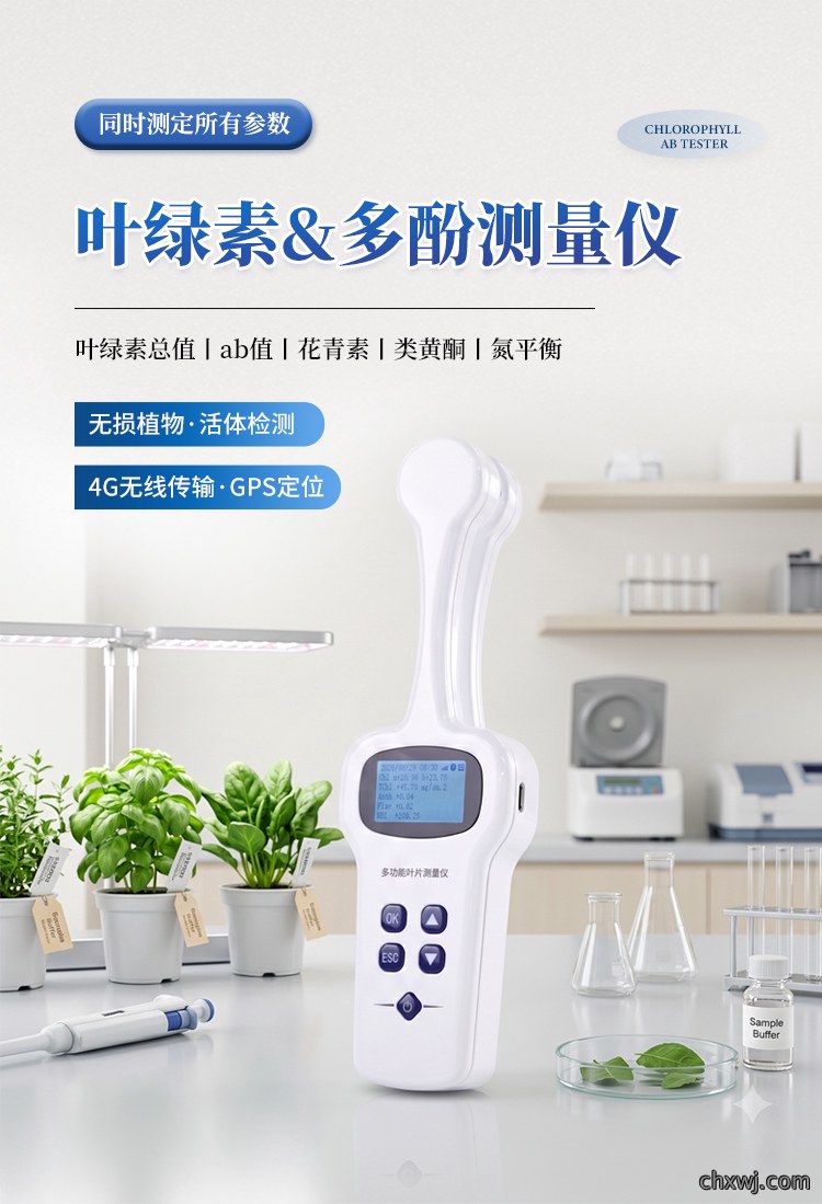 植物叶绿素&多酚测量仪