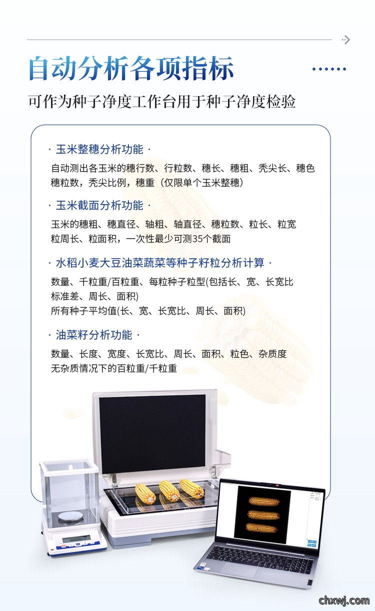 玉米考种分析系统