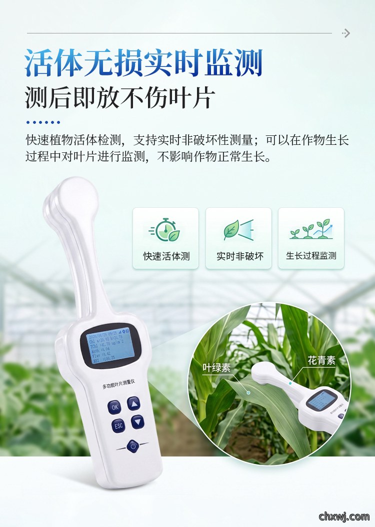 多功能叶片测量仪