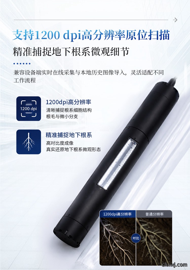 微根管根系监测系统