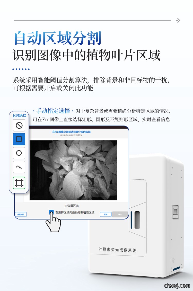 叶绿素荧光成像仪