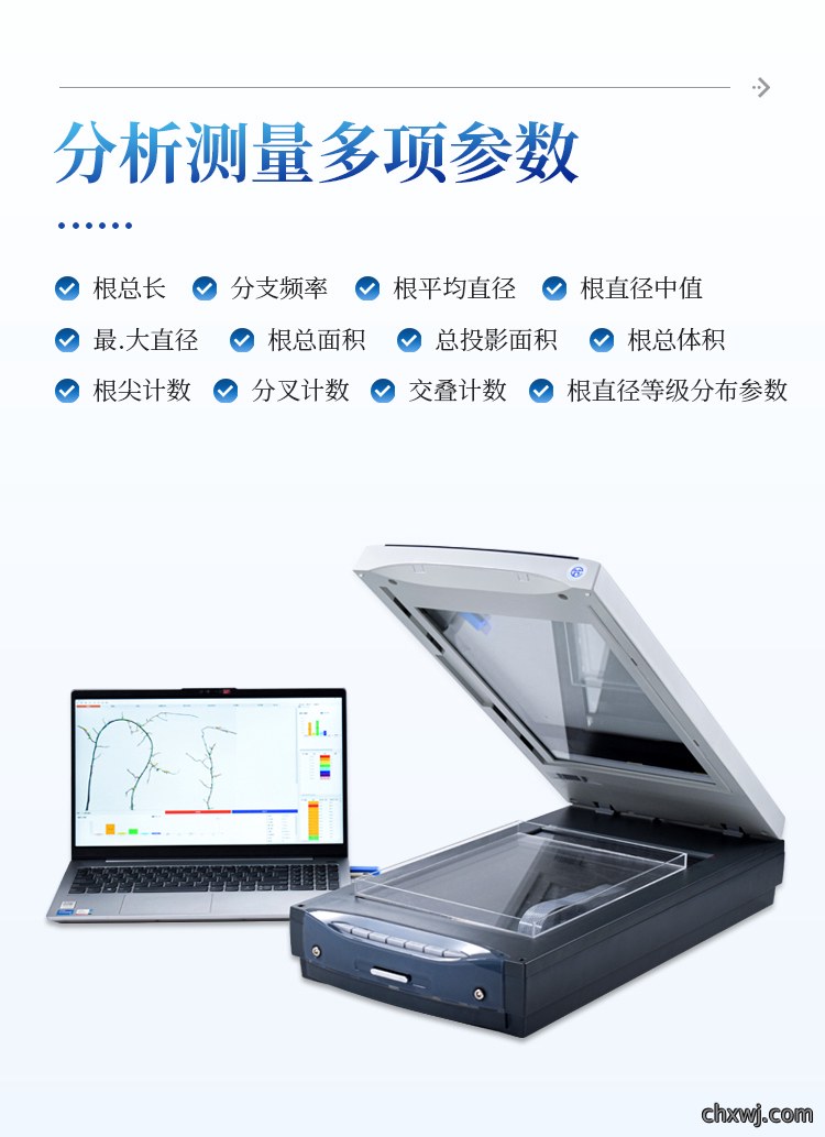 根系分析仪